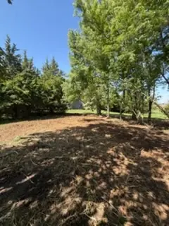 Mulched ground beneath trees retained on the property
