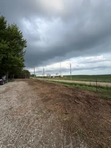 Freshly mulched roadside ground beside a farm field